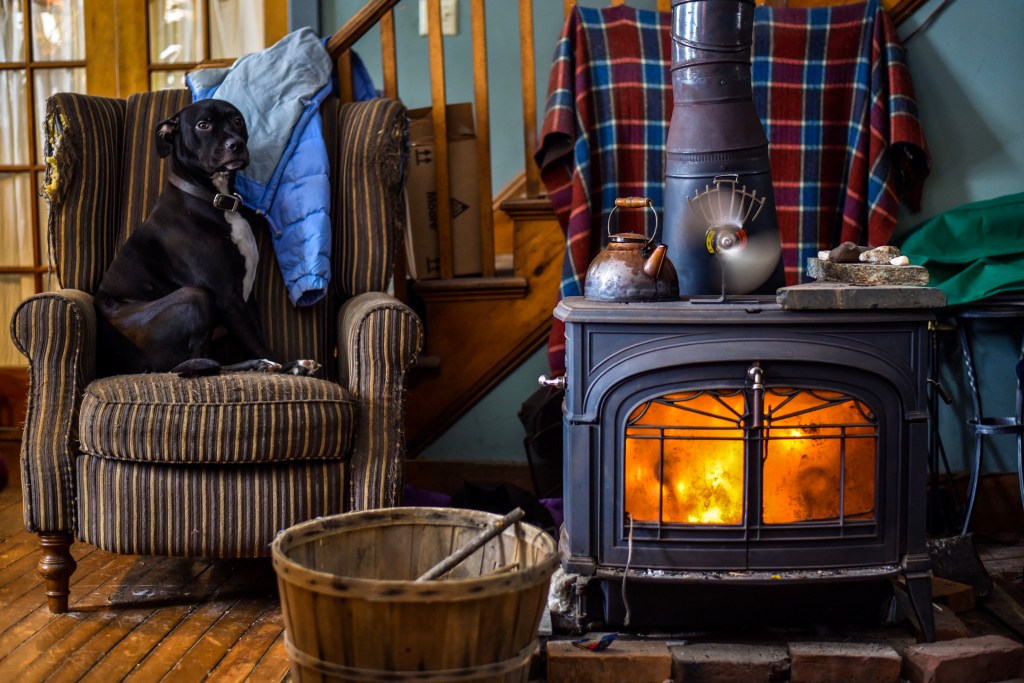 Dog sitting on chair in cabin location with wood stove