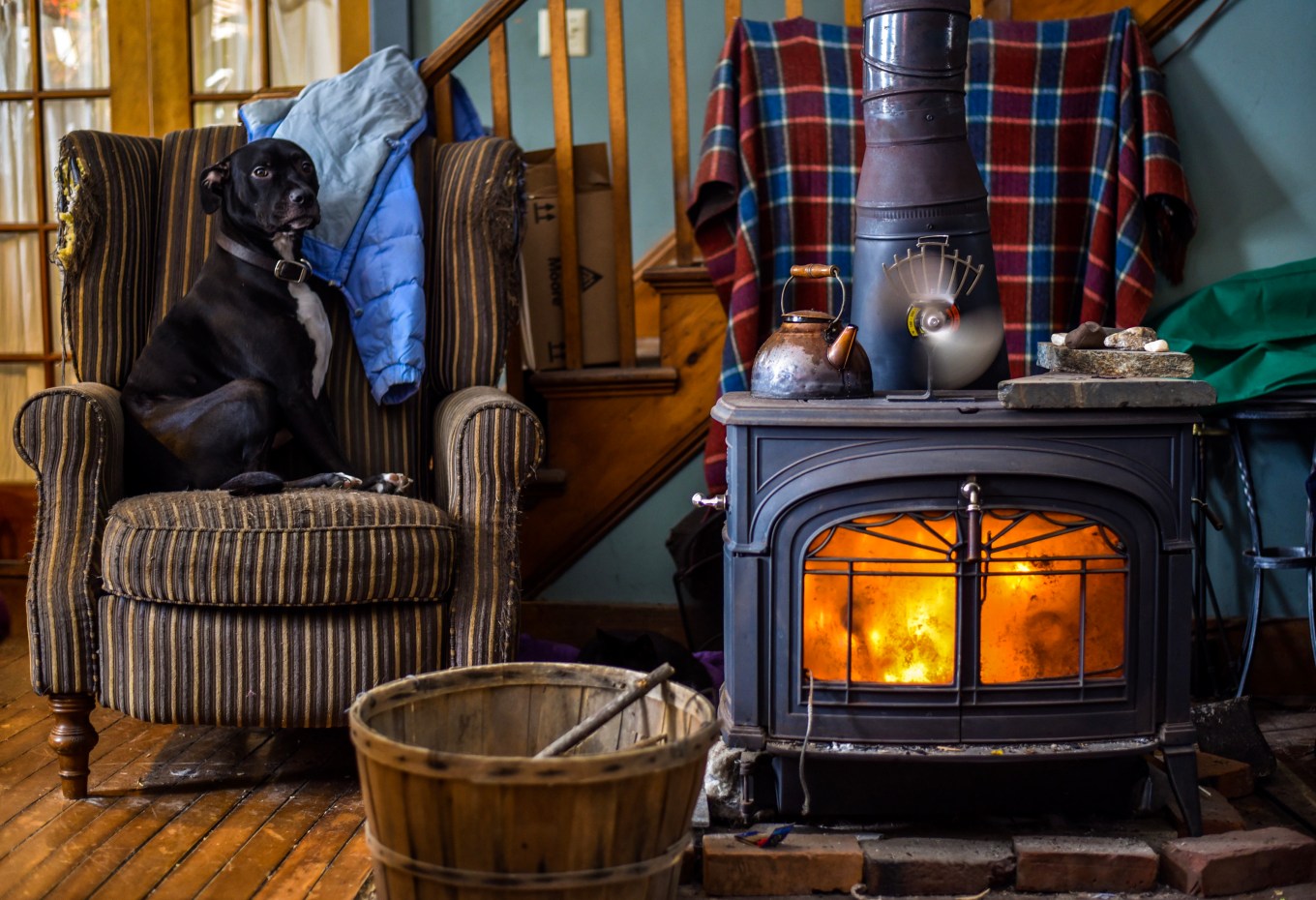 Dog sitting on chair in cabin location with wood stove