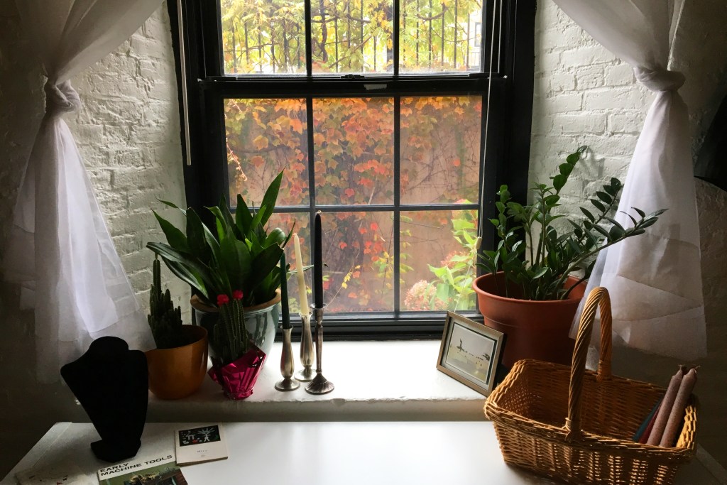 Decorated white window sill looking out to fall foliage
