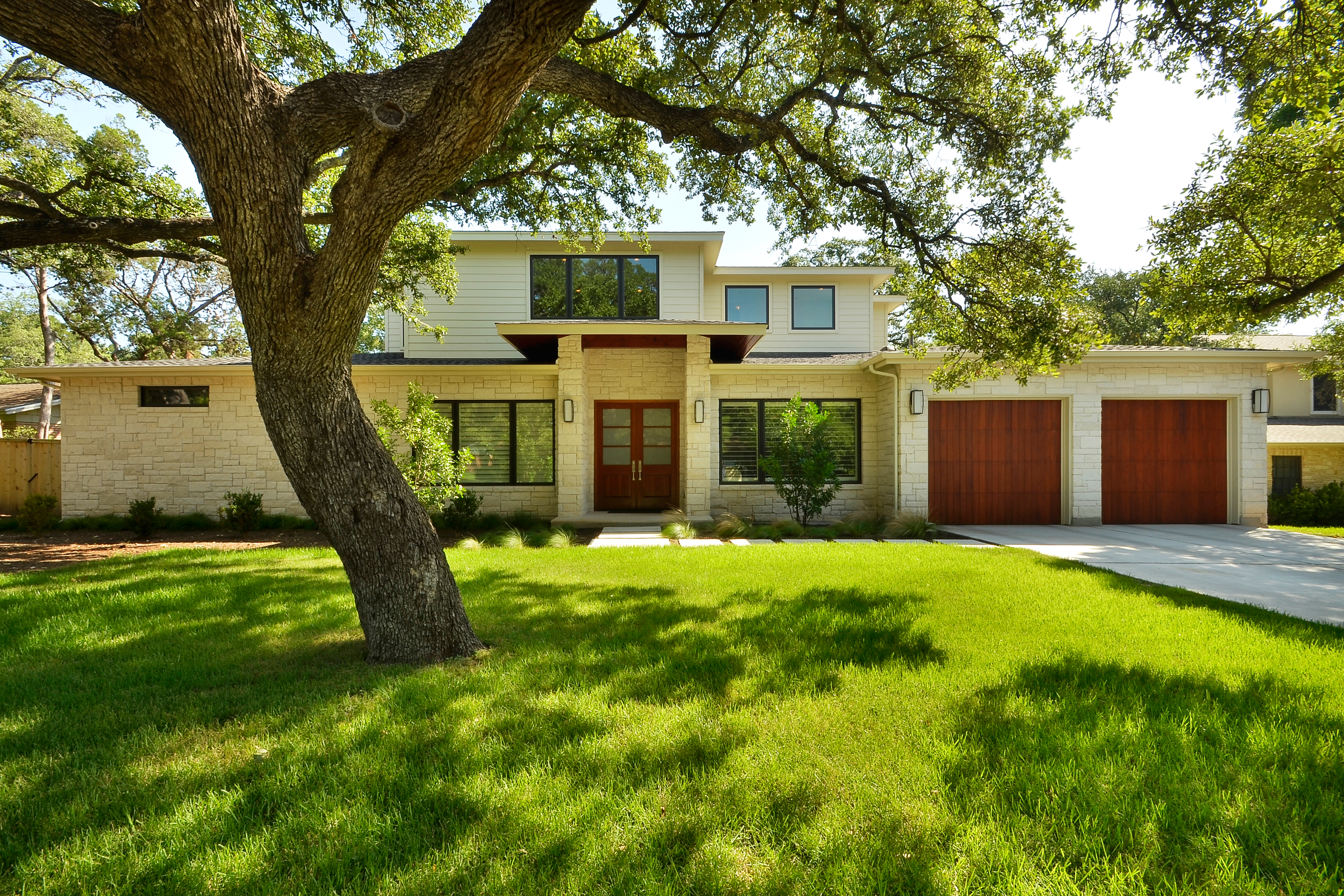 Energy Saving Trees for Your Home to Help With Your Energy 
