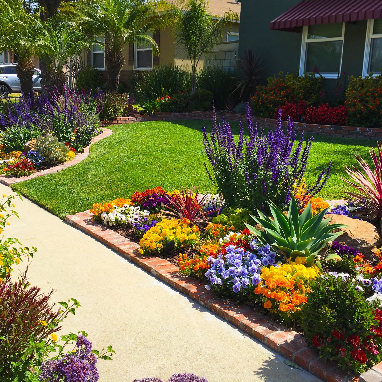 A drought tolerant landscape rich with colorful flowers