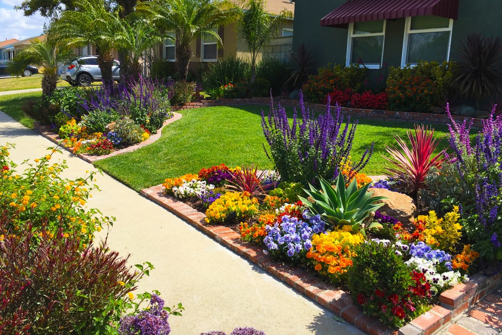 A drought tolerant landscape rich with colorful flowers