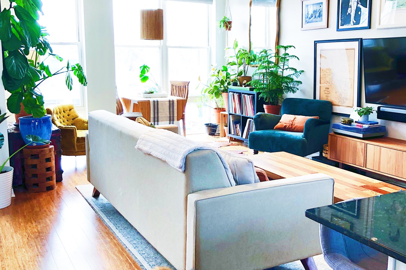 Cream couch in living room with large windows, plants, dog