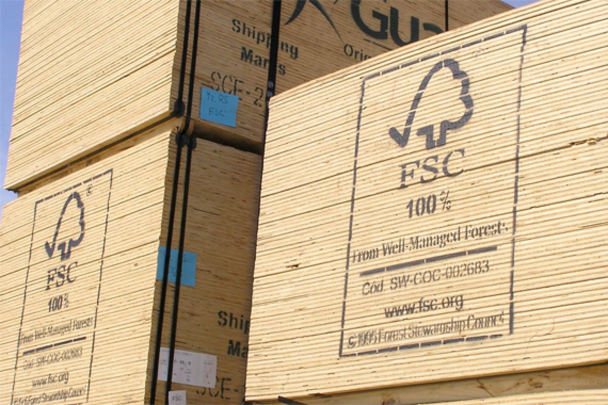 what is sfi certified wood