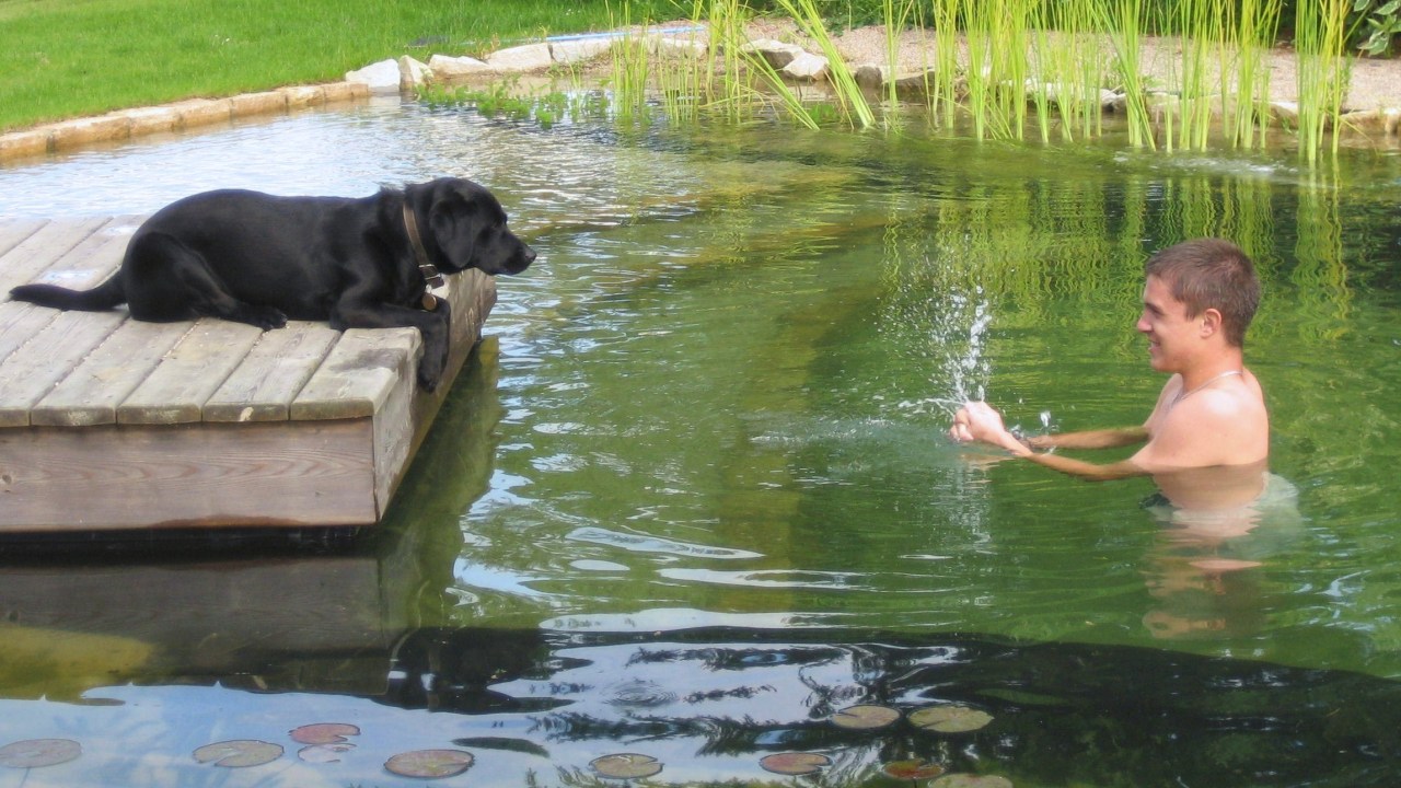 Natural Swimming Pools All Pool Houselogic