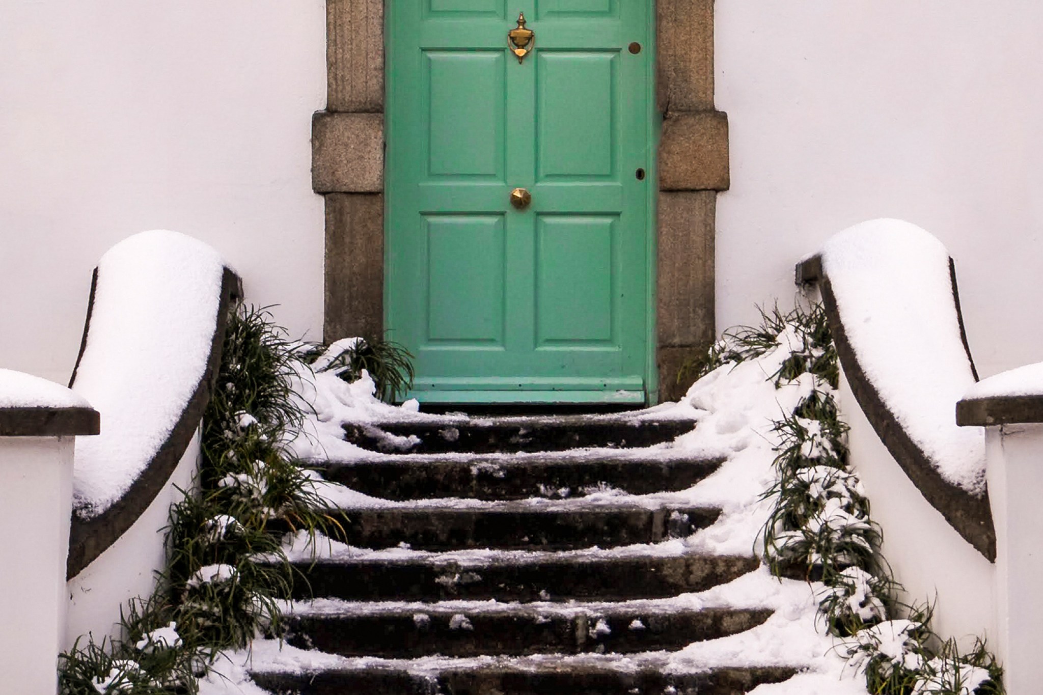 Green door at top of snowy, icy steps lined with plants