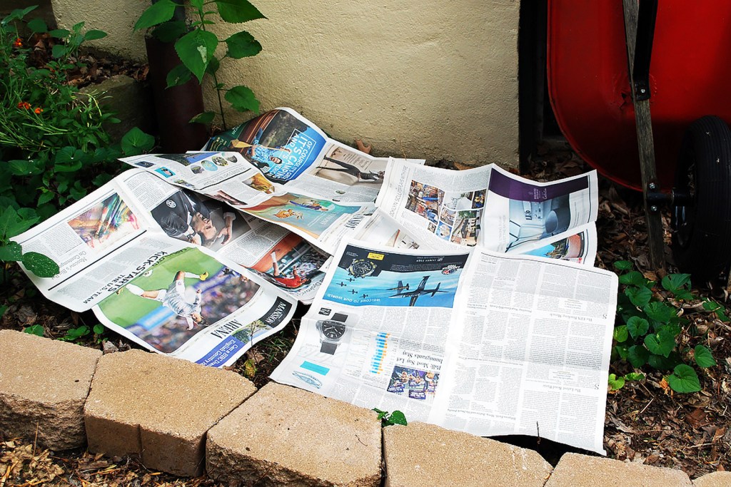 Newspapers on a flower bed to combat weeds