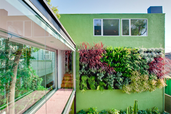 Vertical Garden Design With Gazebo Installation Garden On A Vertical Wall | Living Wall Vertical Garden Design With Gazebo Installation Garden On A Vertical Wall | Living Wall