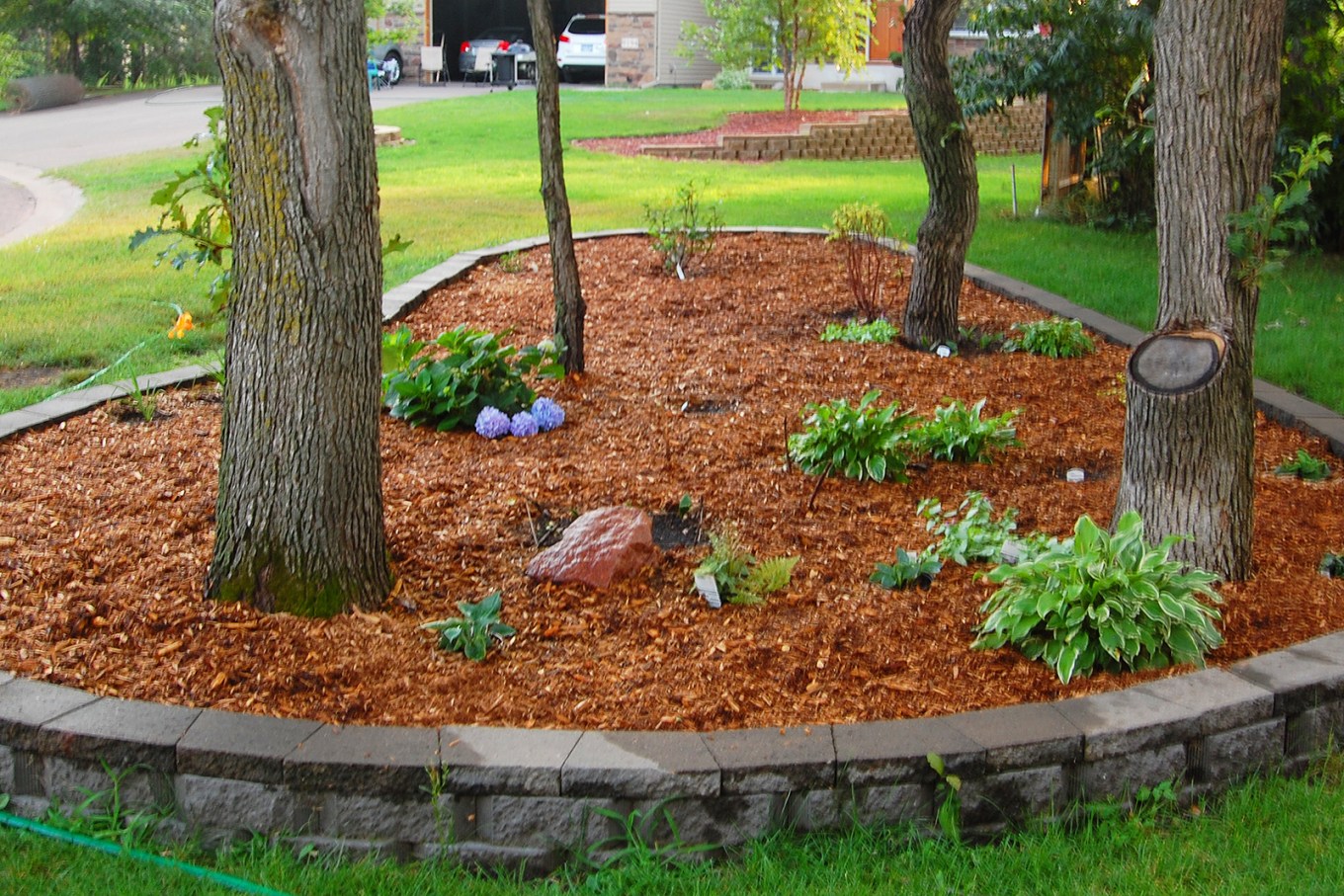 A raised mulched bed in grass