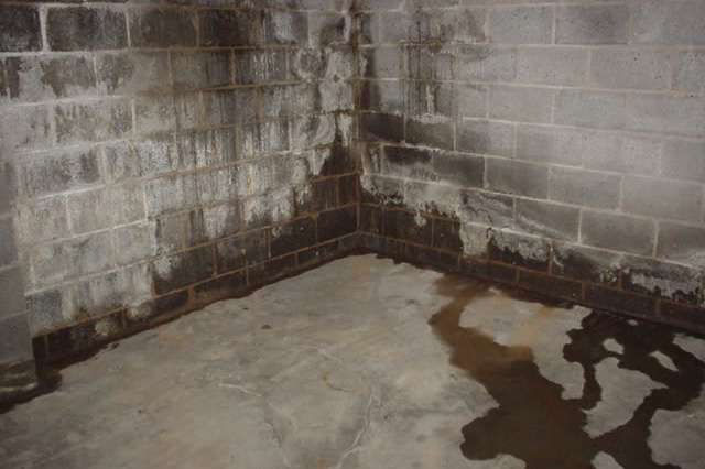 Leaky Basement In Toronto