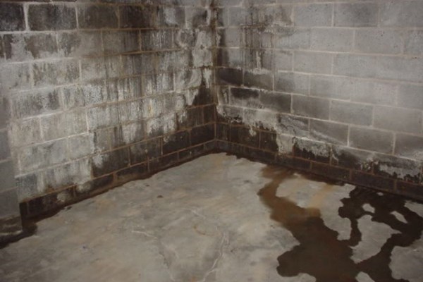 Basement wall with water damage