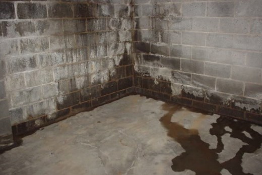 Basement wall with water damage