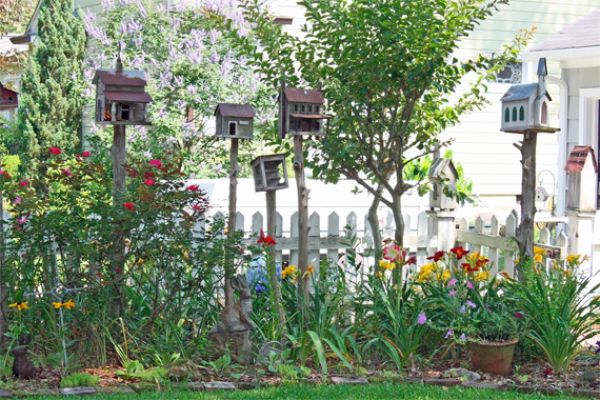 Birdhouses & Feeders in a Colorful Garden | Cottage Gardens