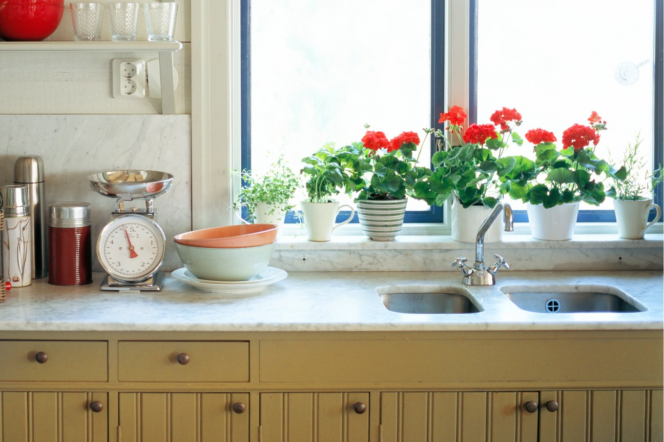 Geranium flowers on a home windowsill