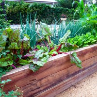 Raised planting bed lush with greenery