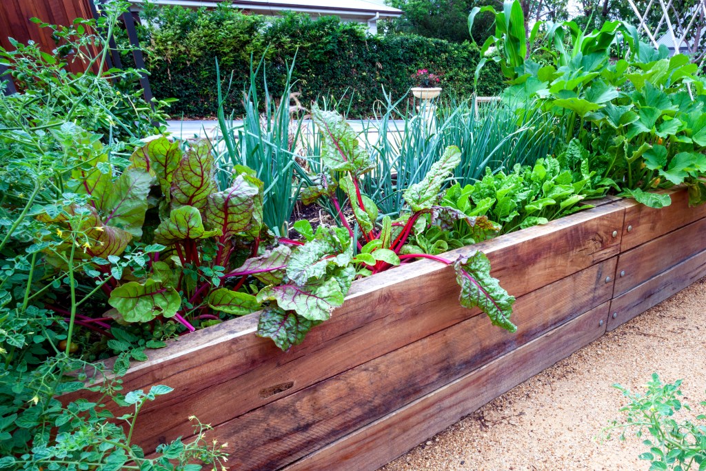 Raised planting bed lush with greenery