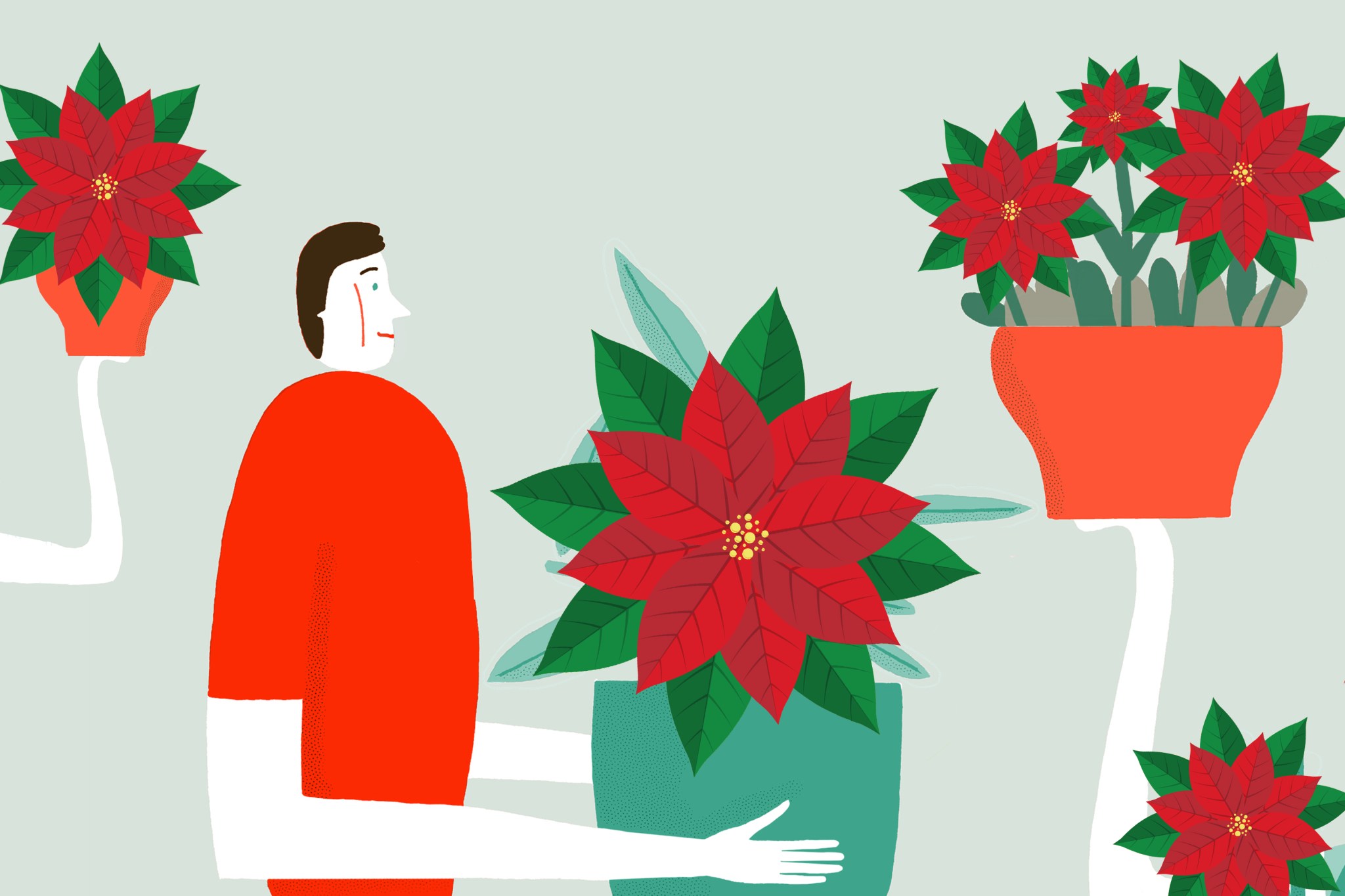Flat color illustration of man surrounded by poinsettias.