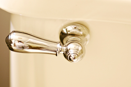 A new toilet handle helps upgrade  the look of this bathroom