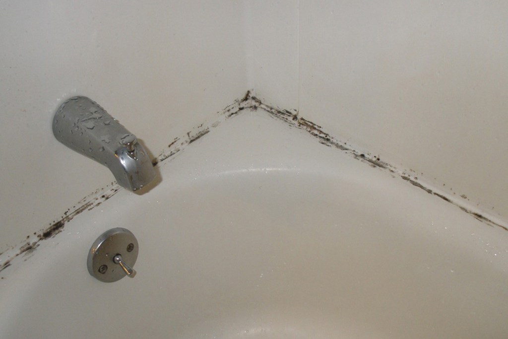 Mold around a bathtub | Prevent mold on bathroom ceiling