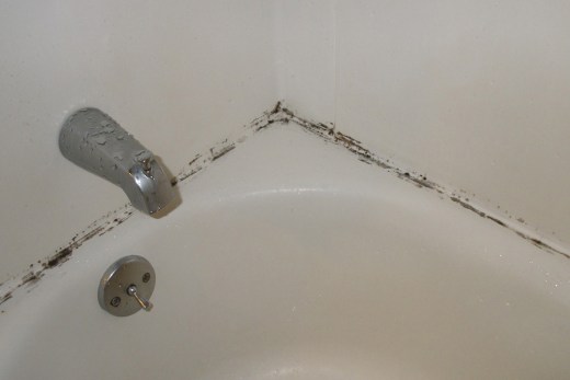 Bathroom Mold On Ceiling - How To Get Rid Of Mildew In Bathroom Ceiling
