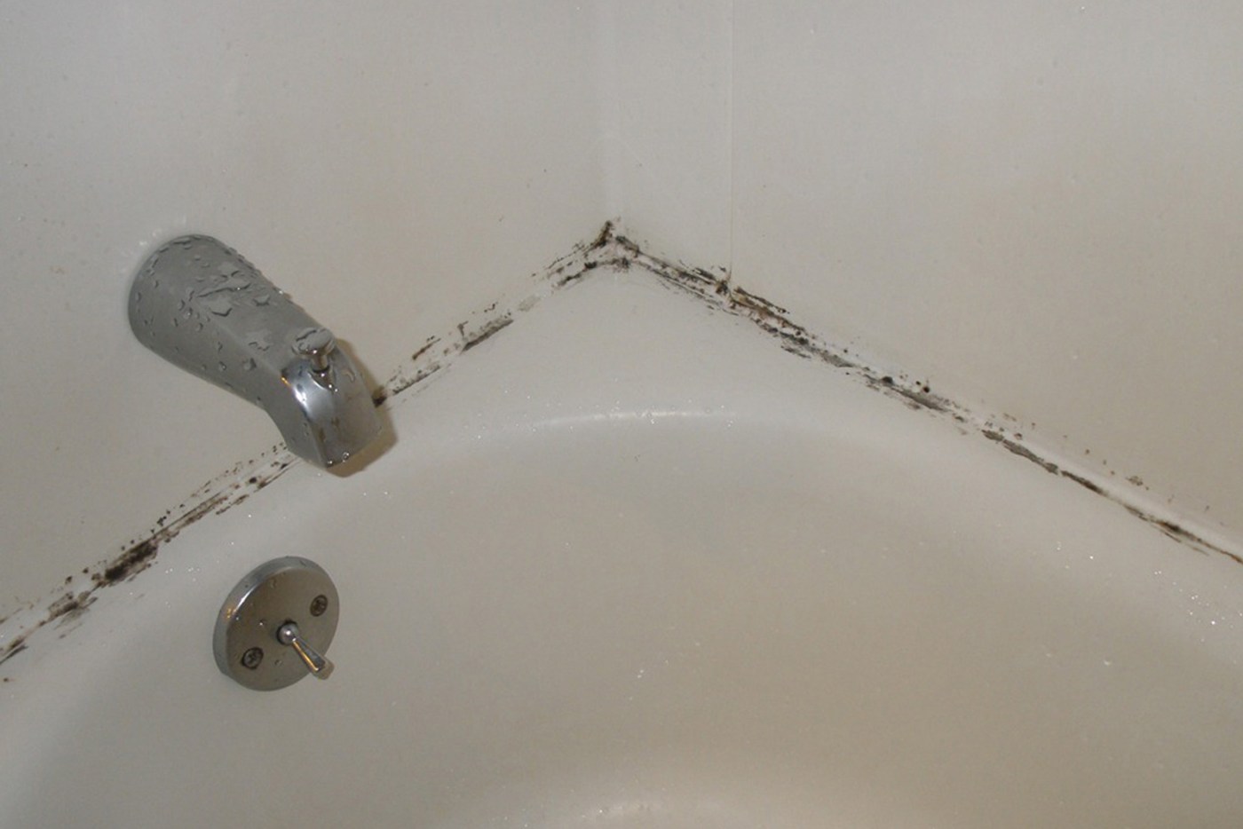 mold around bathroom sink
