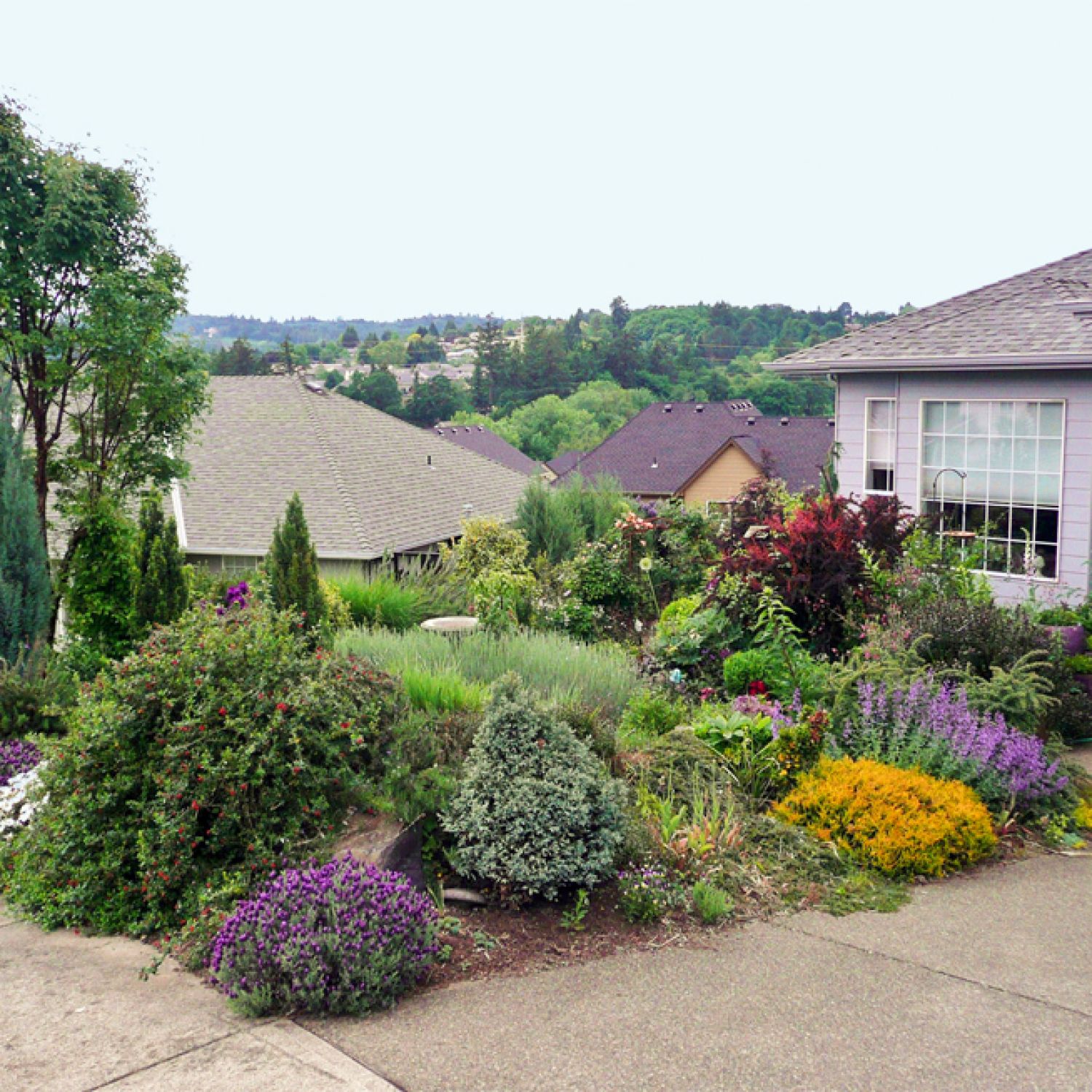 Berm built in front yard