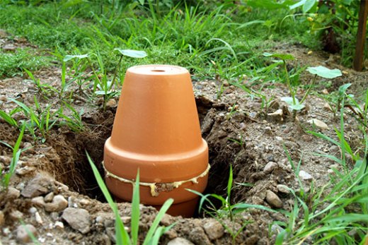 Olla in the ground