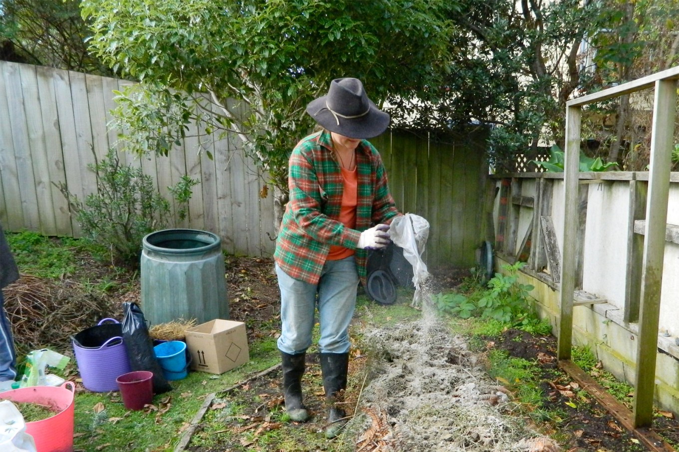 Spreading wood ash fertilizer in a home garden