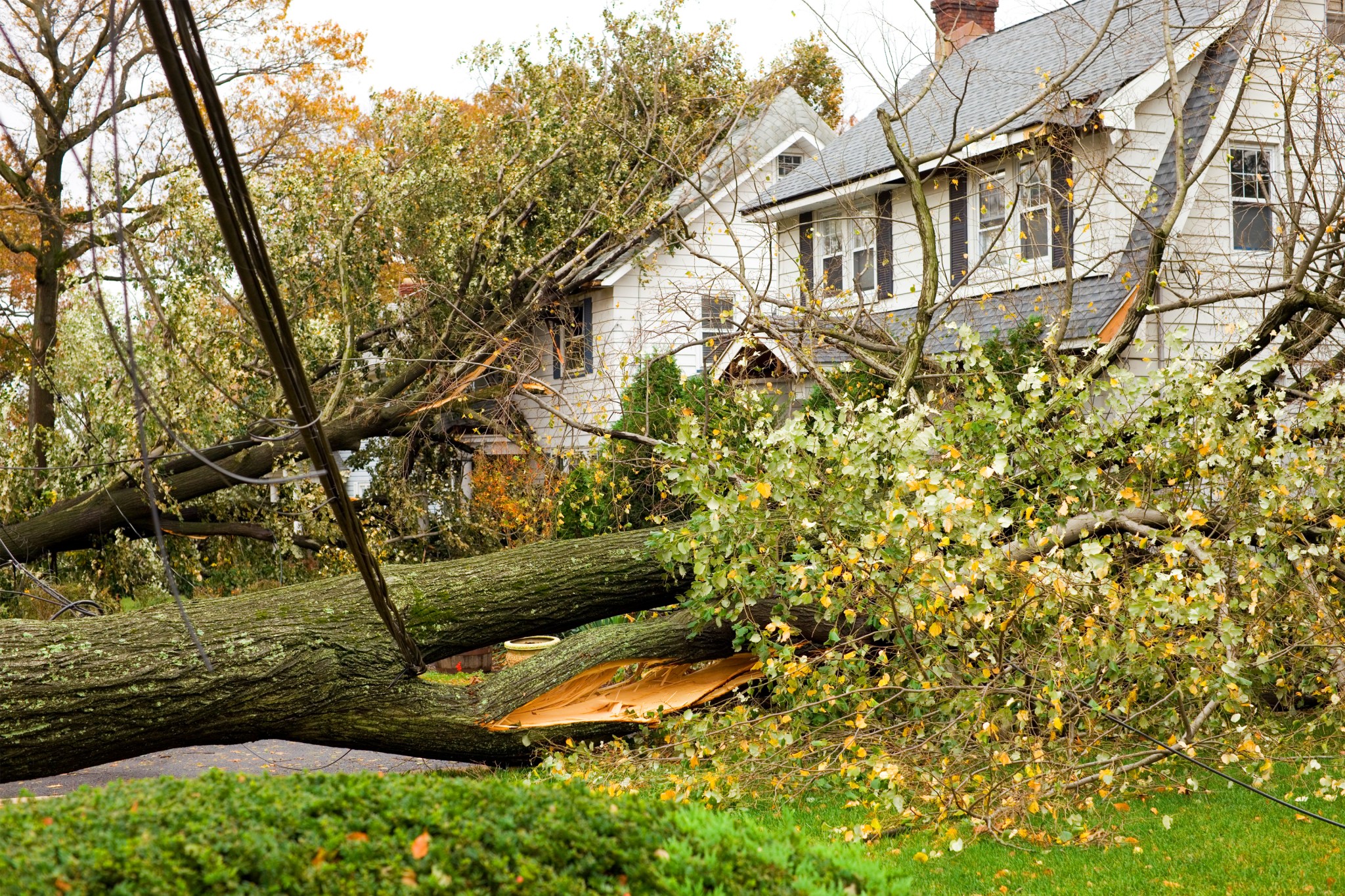 Trees toppled against white two-story homes following storm