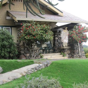 Fake grass used on a steep front lawn