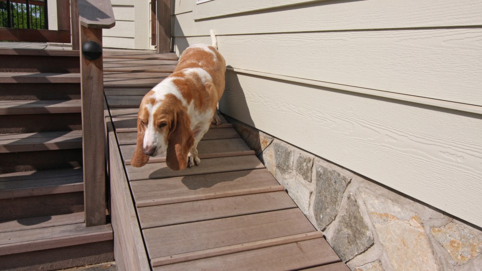 building a dog ramp over stairs