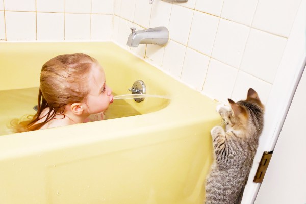 Little girl in yellow tub spitting water at tabby kitten
