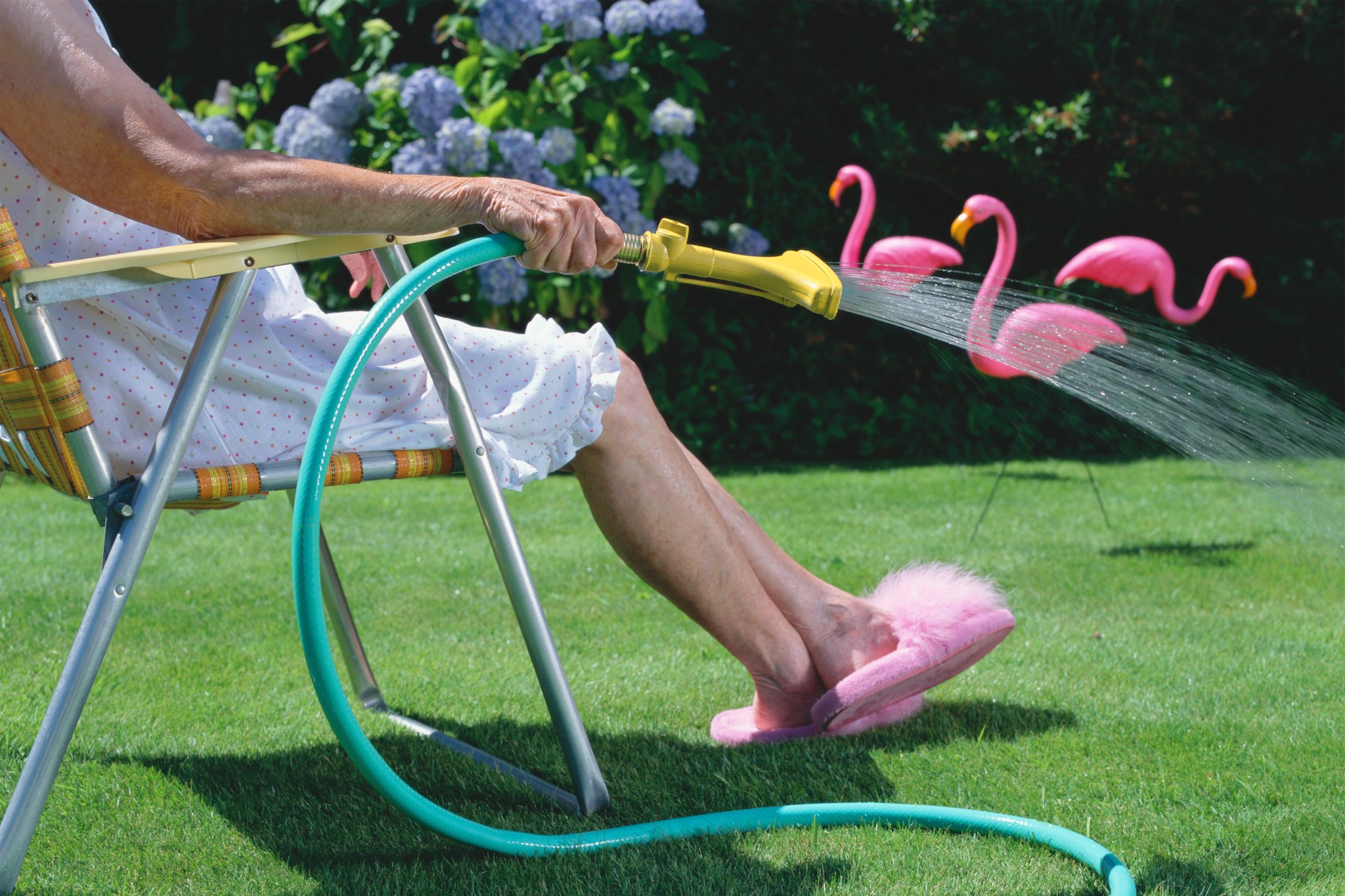 Old woman in lawn chair watering lawn with pink flamingoes