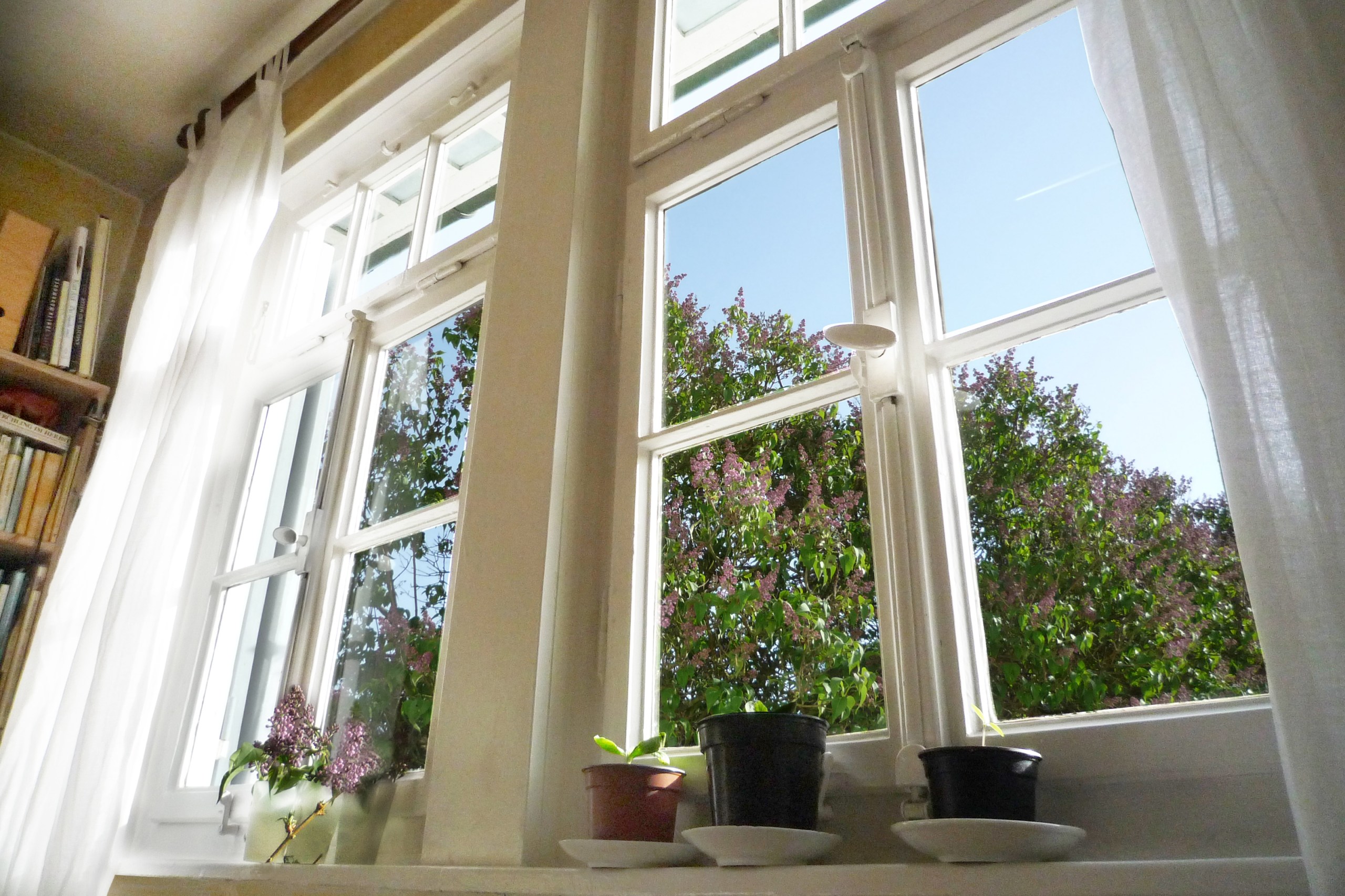 A sunny window in the springtime