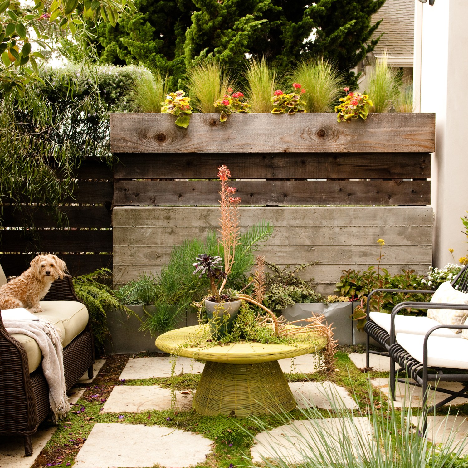 An outdoor space with patio furniture and a dog