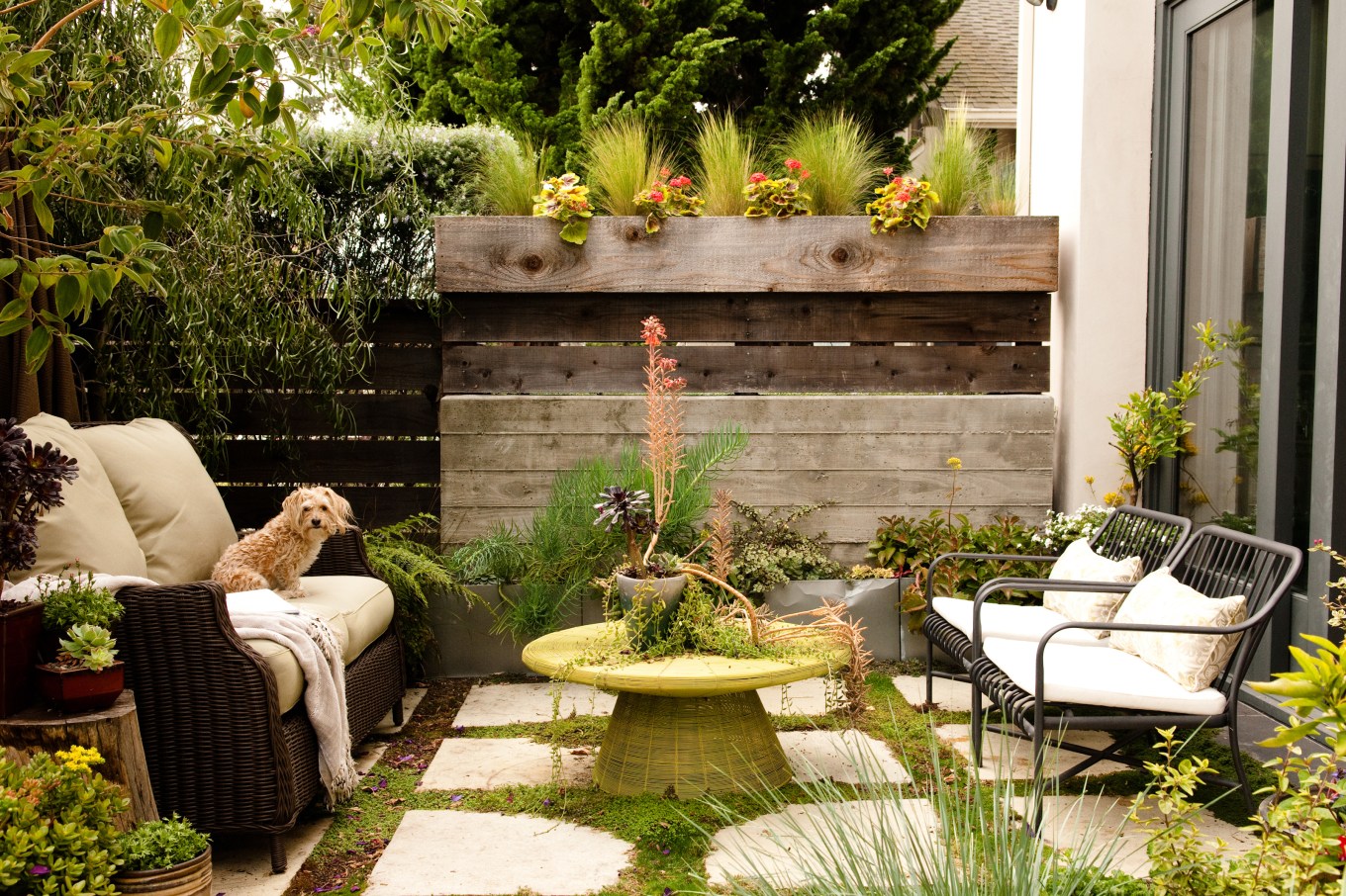 An outdoor space with patio furniture and a dog