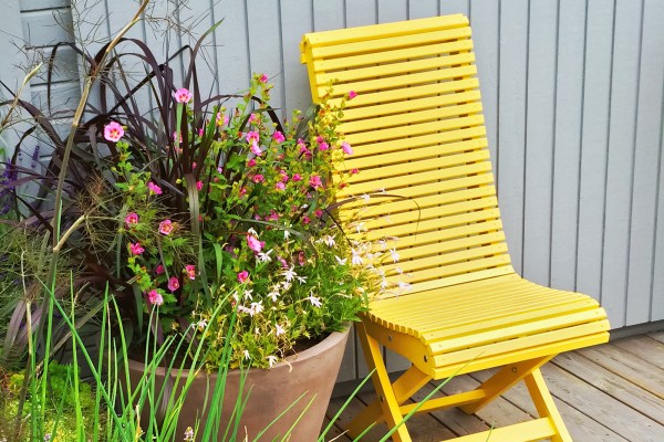 Yellow chair with potted plant