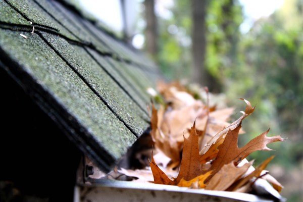 Leaves clogging a home's gutter