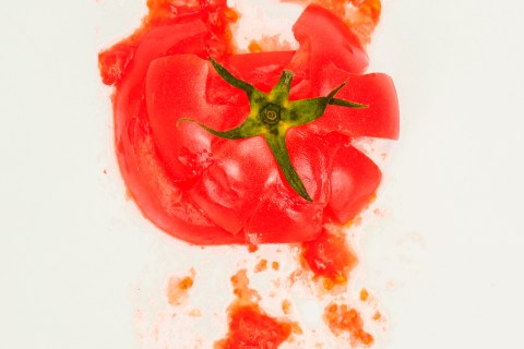 Tomato splatted against a kitchen wall