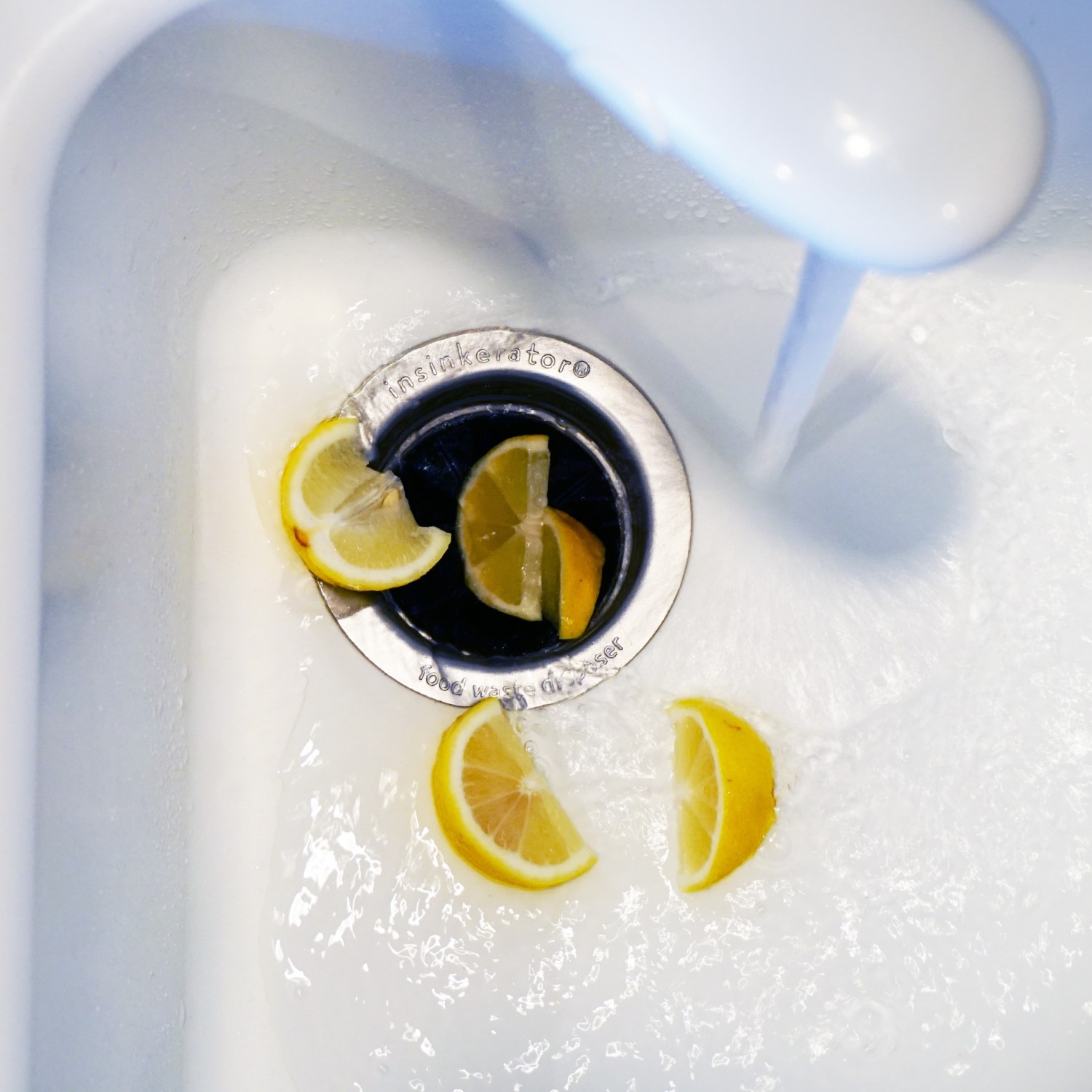 Lemons ready to be added to a disposal
