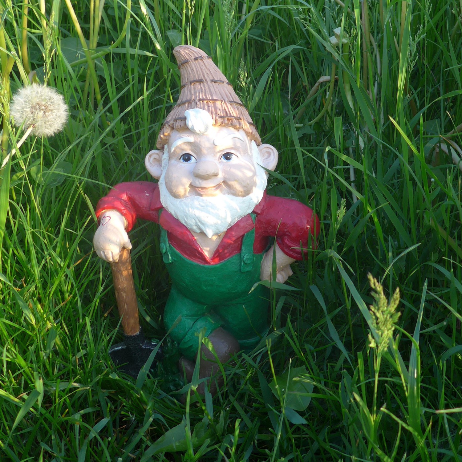 Garden gnome in tall grass