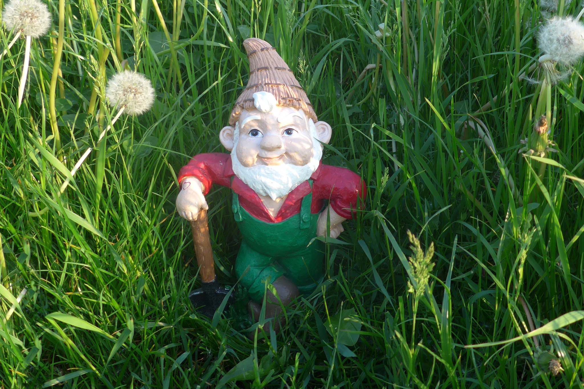 Garden gnome in tall grass