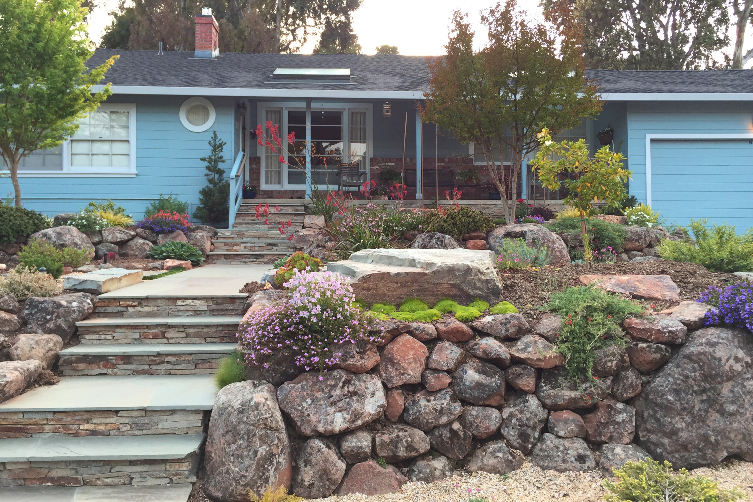 Drought Tolerant Plants | Low-Water Consumption Plants ...