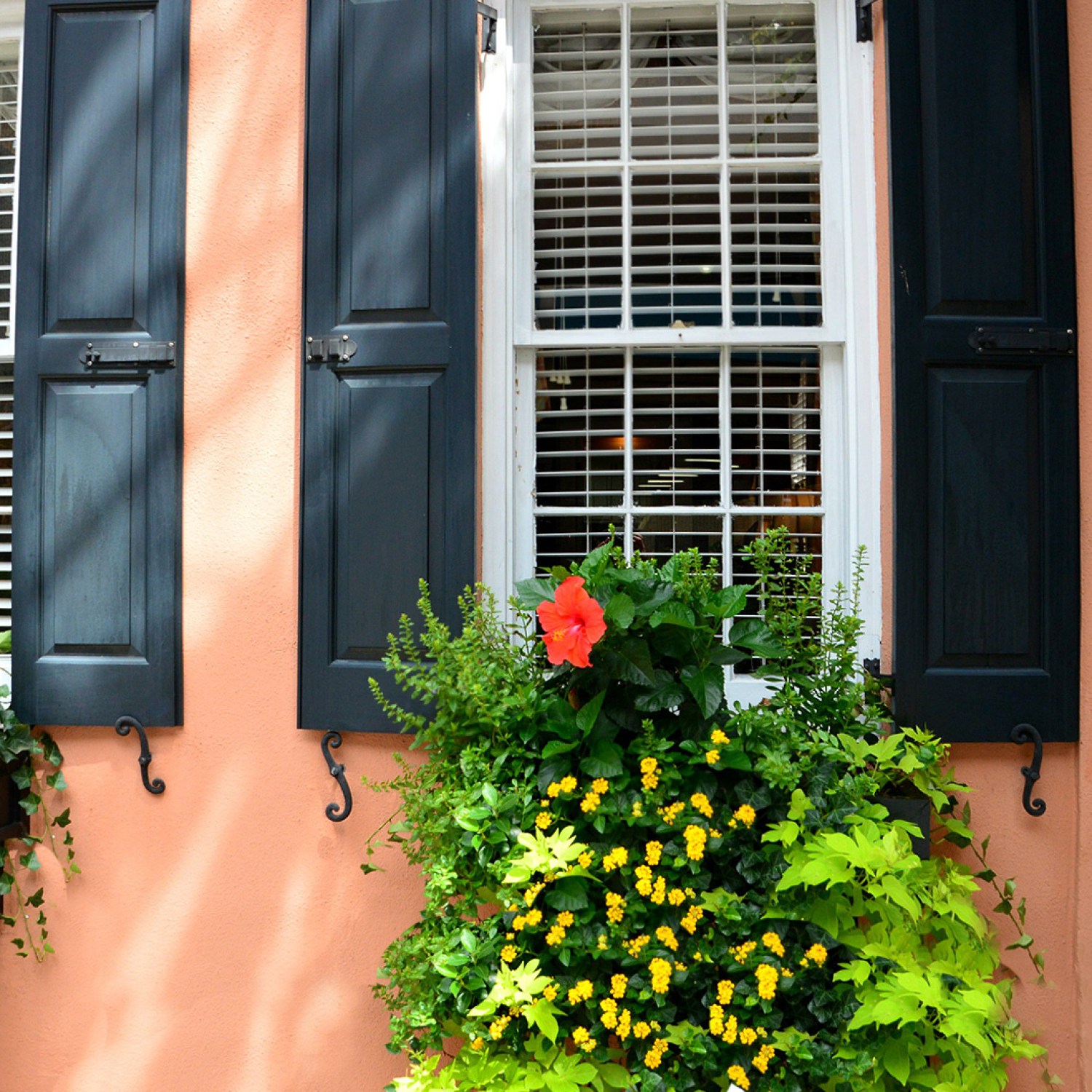 Large windows outside historic home