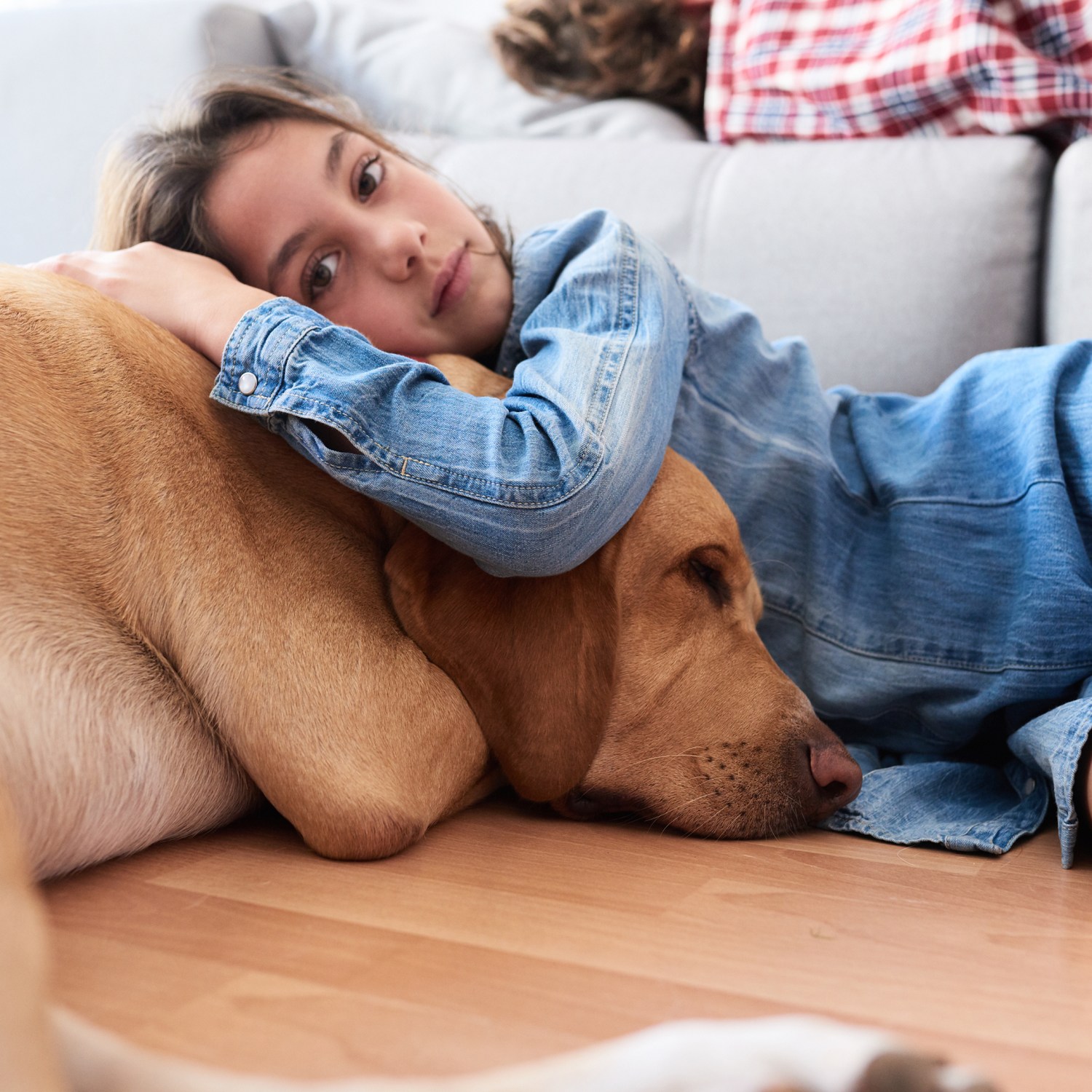 A young girl is hugging her dog on the wood floor
