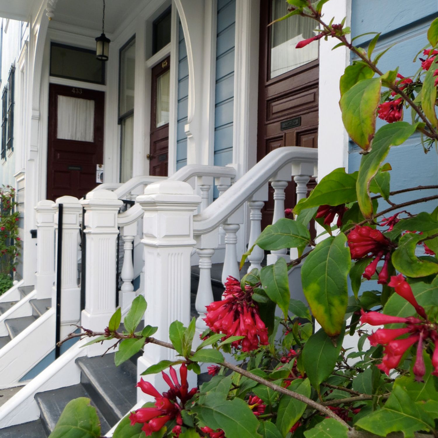 Red flowers outside of a historic home