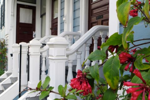 Red flowers outside of a historic home