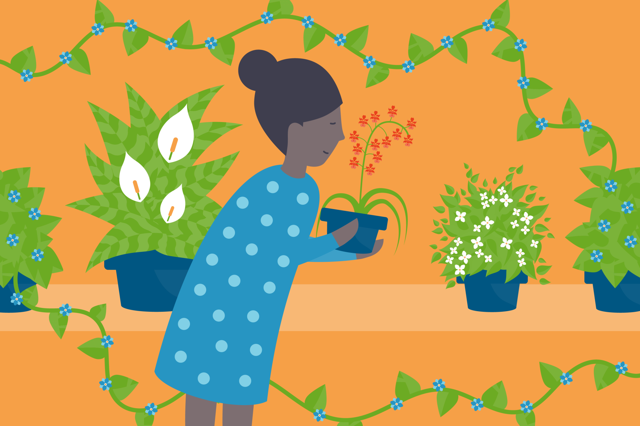 Illustration of a woman with air-purifying houseplants