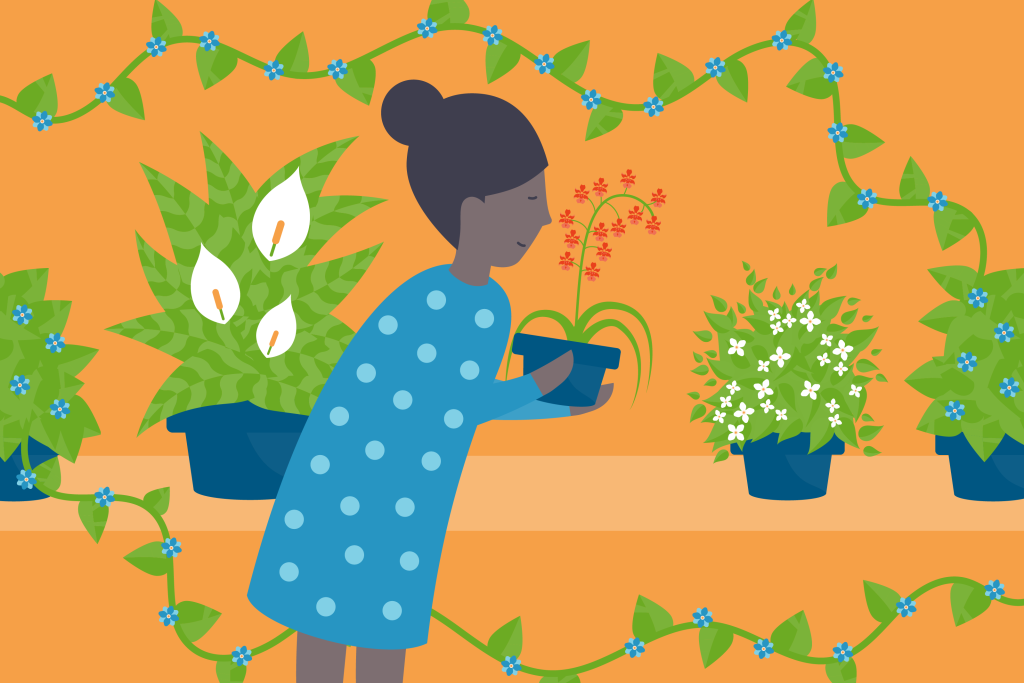 Illustration of a woman with air-purifying houseplants