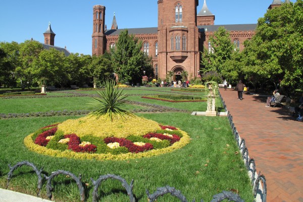 Lush green grass in front of the Smithsonian Castle